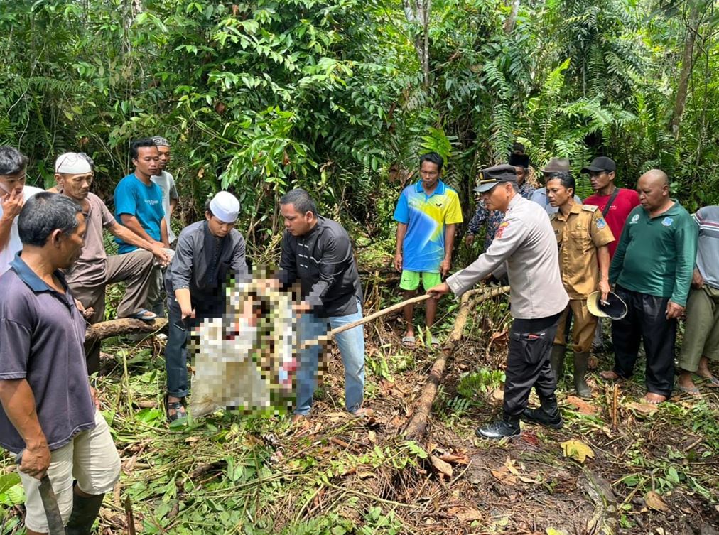 Trăn dài gần 7m nuốt chửng người phụ nữ Indonesia - Ảnh 1.