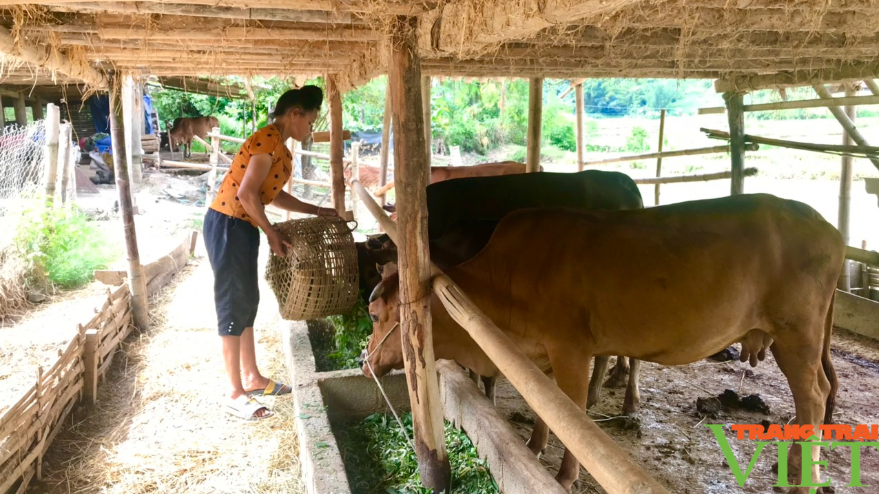 &quot;Cầu nối&quot; đưa nguồn vốn ưu đãi đến nông dân - Ảnh 2.