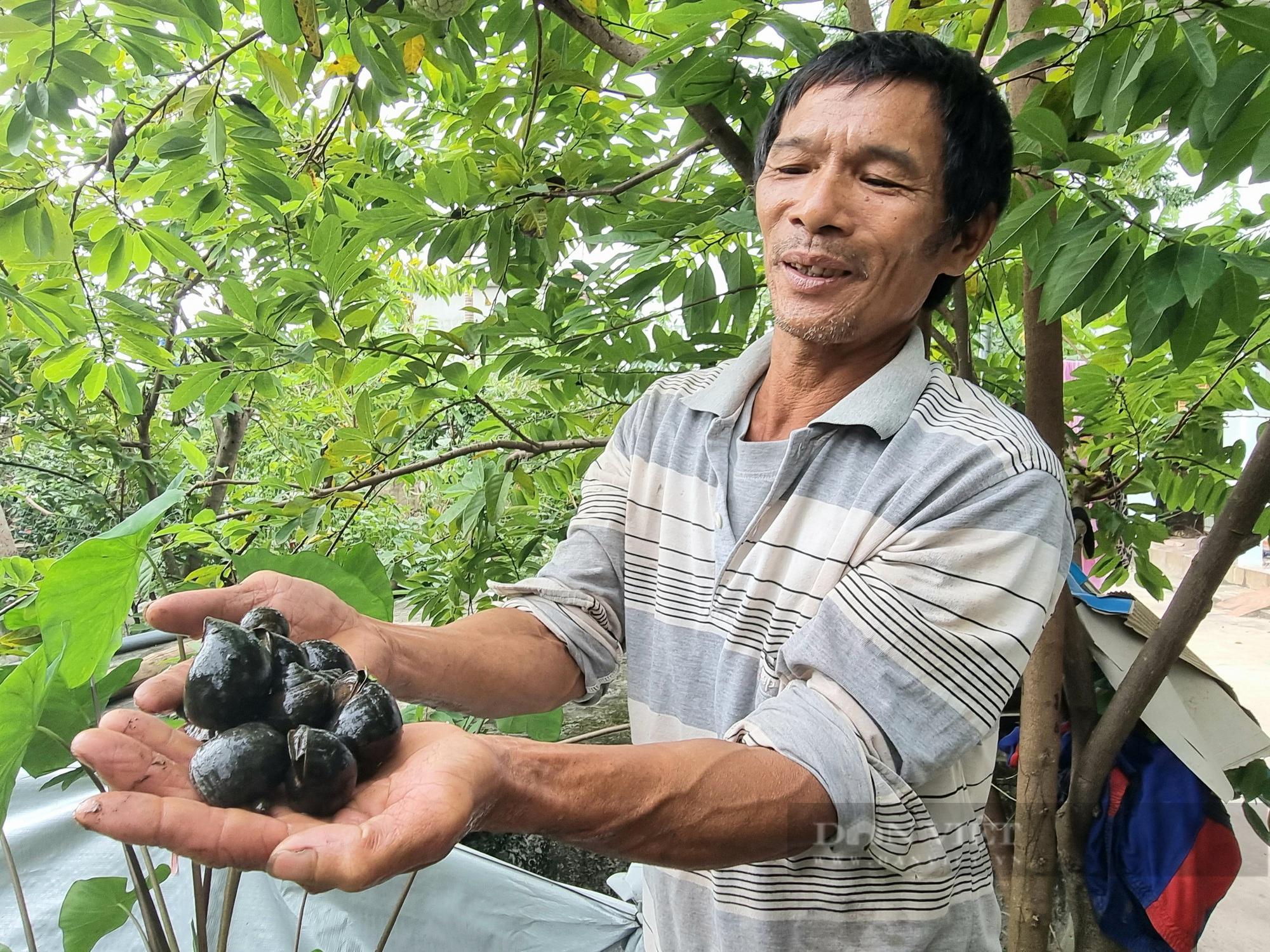 Kim Sơn (Ninh Bình): Thu nhập bình quân gần 60 triệu đồng/người/năm - Ảnh 11.