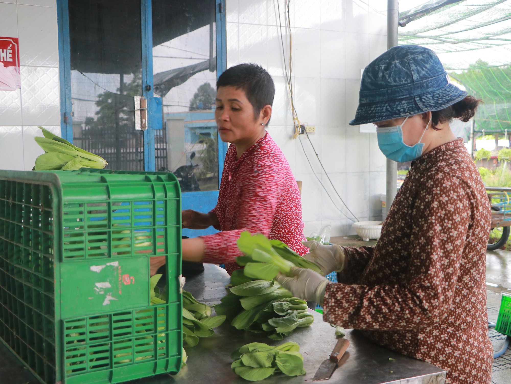 Hỗ trợ các mô hình kinh tế tập thể hoạt động có hiệu quả trên địa bàn thành phố - Ảnh 1.