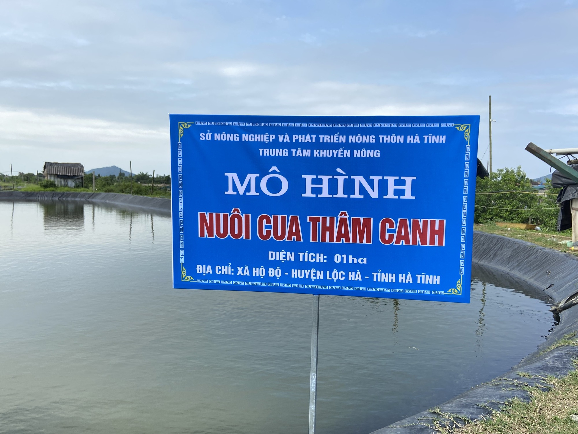 Thả nuôi 10.000 con cua biển, nông dân Hà Tĩnh bắt lên hàng tấn, bán giá 250.000 đồng/kg - Ảnh 1.