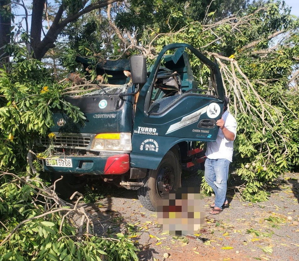 Xe Tải Xe Ben Bình Thuận  Thaco Auto Bình Thuận  Ô TÔ Trường Hải Bình  Thuận