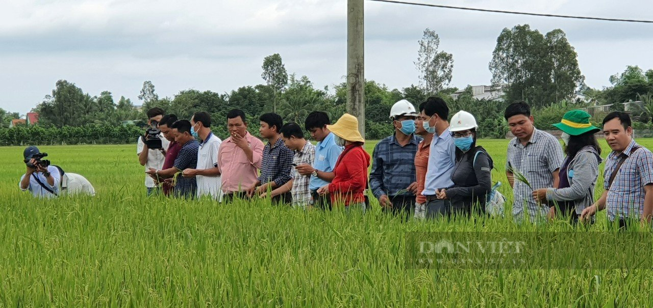 Nâng cao hiệu quả hoạt động công tác khuyến nông trên cơ sở - Ảnh 4.