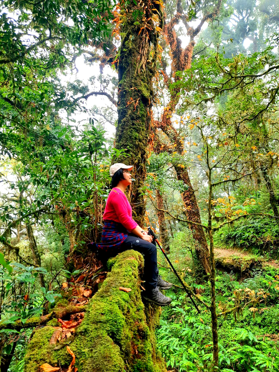 Lên núi cao nhất vùng Đông Bắc ở Hà Giang, bất chợt thấy rừng nguyên sinh rêu phong y như bên châu Âu - Ảnh 8.