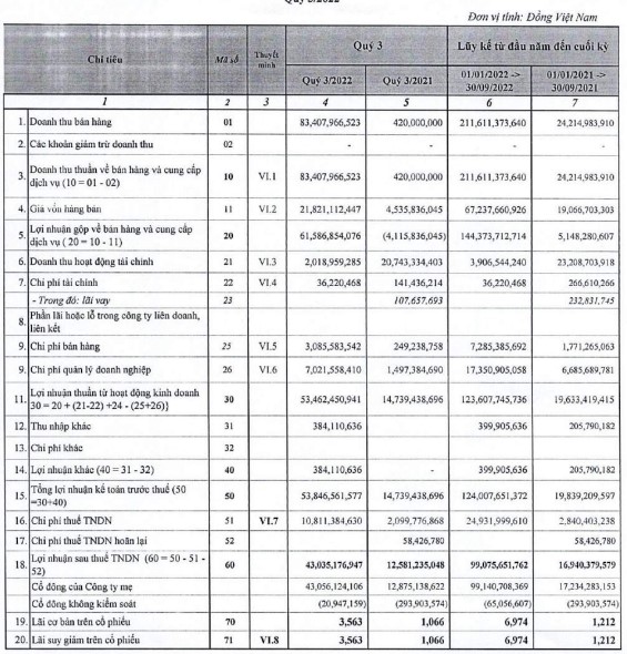 Công viên nước Đầm Sen: Báo lãi bình quân đạt 362 triệu mỗi ngày trong năm 2022 - Ảnh 1.