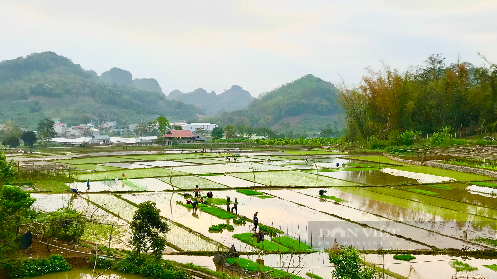 Bản vùng cao thực hiện tiêu chí Môi trường trong xây dựng NTM - Ảnh 10.