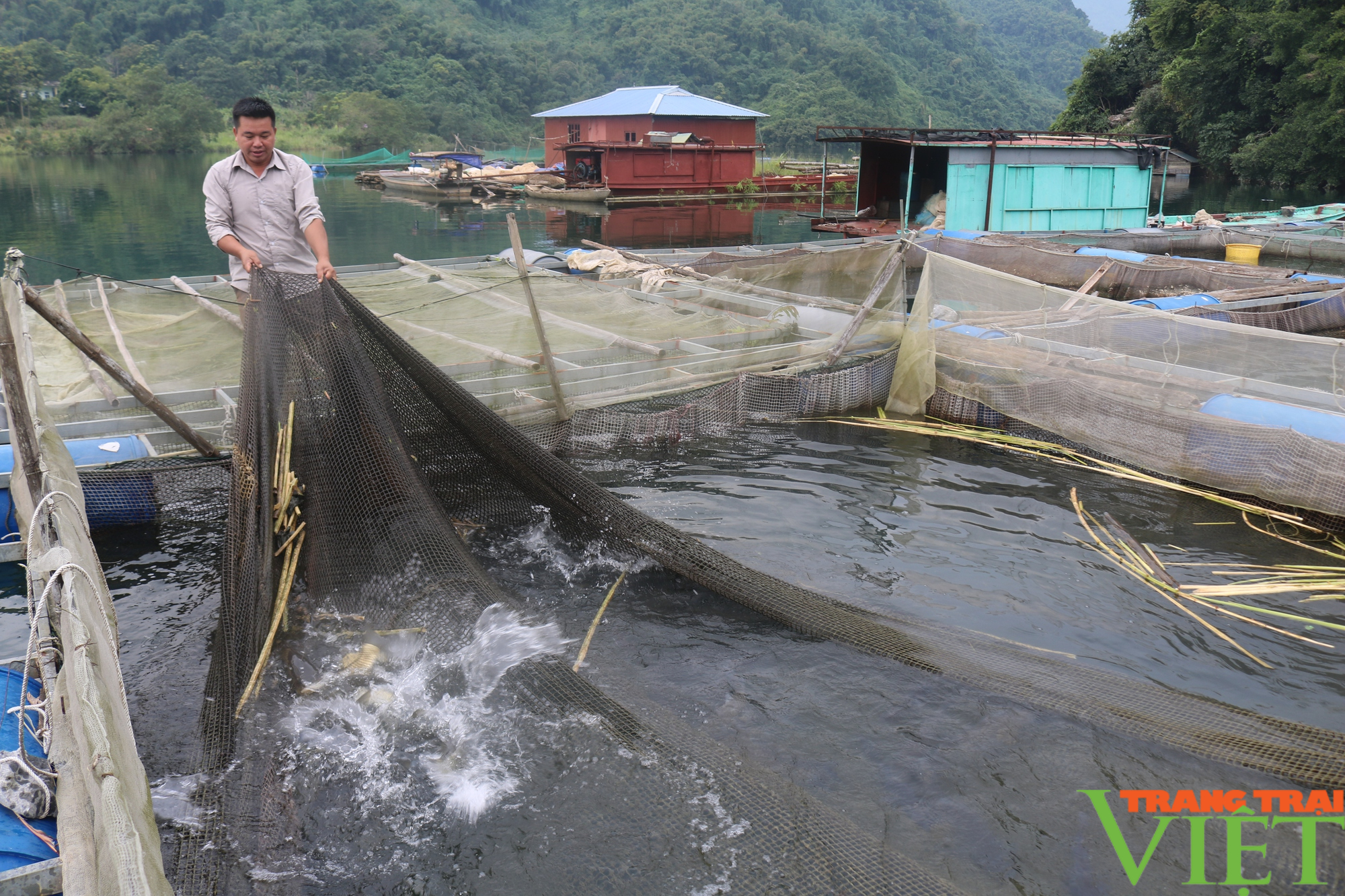 Những nông dân làm giàu trên quê mới ở vùng cao Hòa Bình - Ảnh 5.