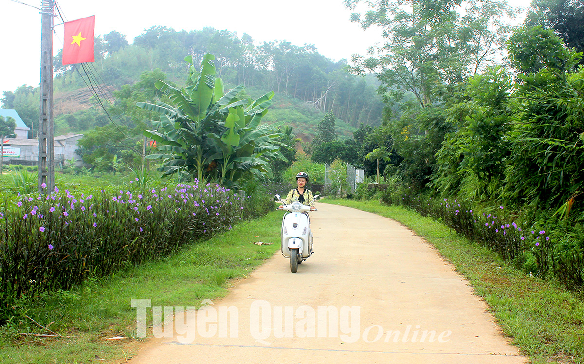 Tuyến đường hoa nông thôn mới này ở Tuyên Quang bông nở miên man, tự dưng dân chăm tập thể dục hẳn lên - Ảnh 2.