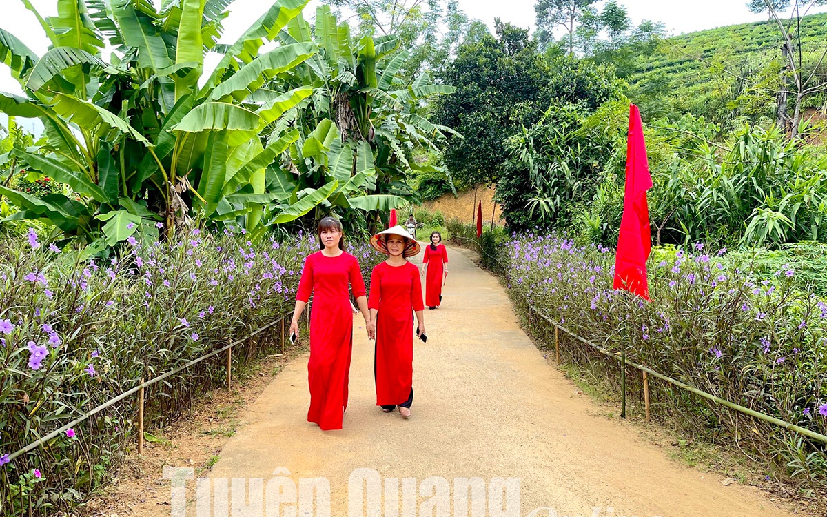 Tuyến đường hoa nông thôn mới này ở Tuyên Quang bông nở miên man, tự dưng dân chăm tập thể dục hẳn lên