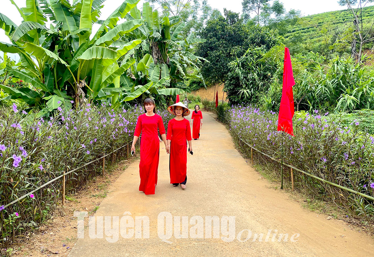 Tuyến đường hoa nông thôn mới này ở Tuyên Quang bông nở miên man, tự dưng dân chăm tập thể dục hẳn lên - Ảnh 4.