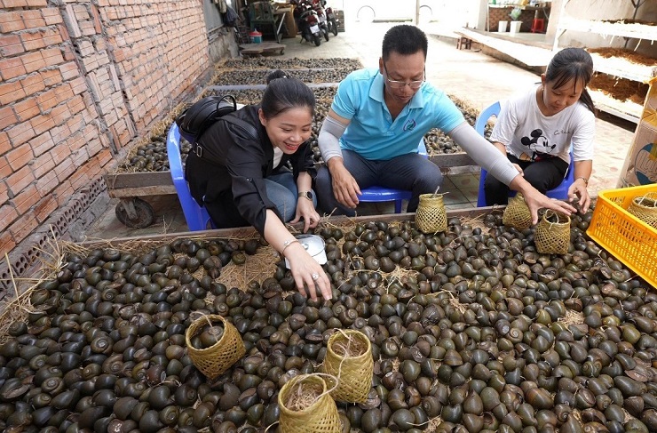 Nuôi loài ngủ liền 3 tháng, chẳng buồn ăn uống cả năm, 8X Tiền Giang lãi trăm triệu - Ảnh 3.