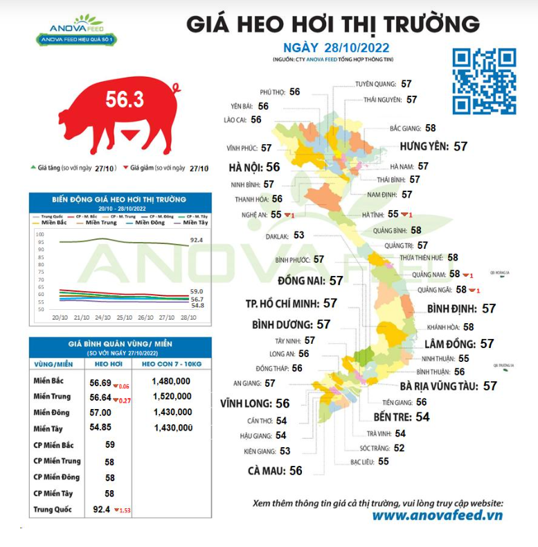 Giá lợn hơi tiếp tục giảm, thị trường toàn sắc đỏ - Ảnh 2.