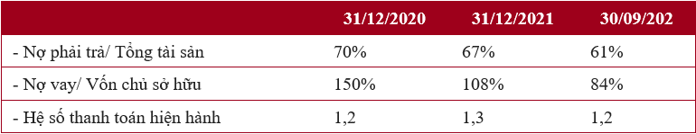 Kết thúc quý III, GELEX hoàn thành 68% kế hoạch lợi nhuận trước thuế năm 2022 - Ảnh 3.