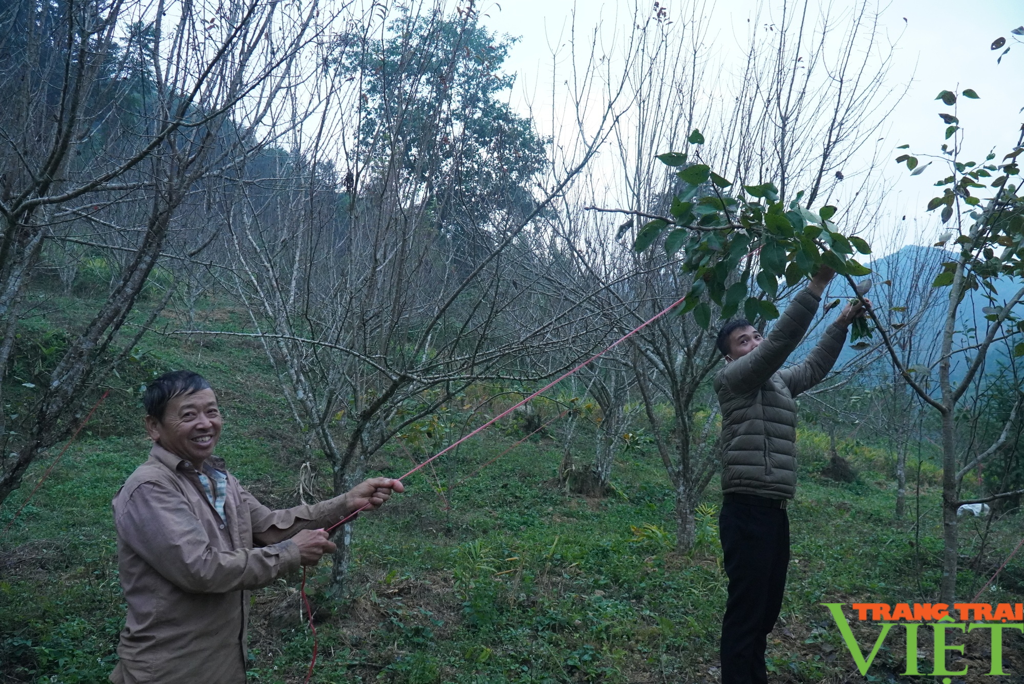 Xa xồi những mùa hoa anh túc nơi thượng nguồn sông Chảy - Ảnh 3.