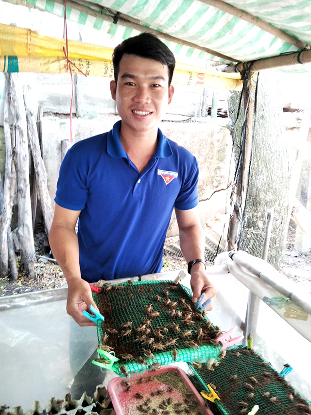 Nuôi con gì bé tí ti, chăm rõ nhàn, cho ăn bèo, lá chuối, anh nông dân Đồng Tháp hễ bán là có người mua - Ảnh 1.