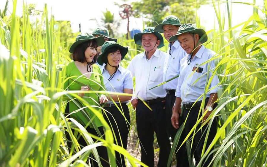 Nữ hoàng mía đường Huỳnh Bích Ngọc: SBT sẽ dồn lực cho thương mại dịch vụ - xuất nhập khẩu