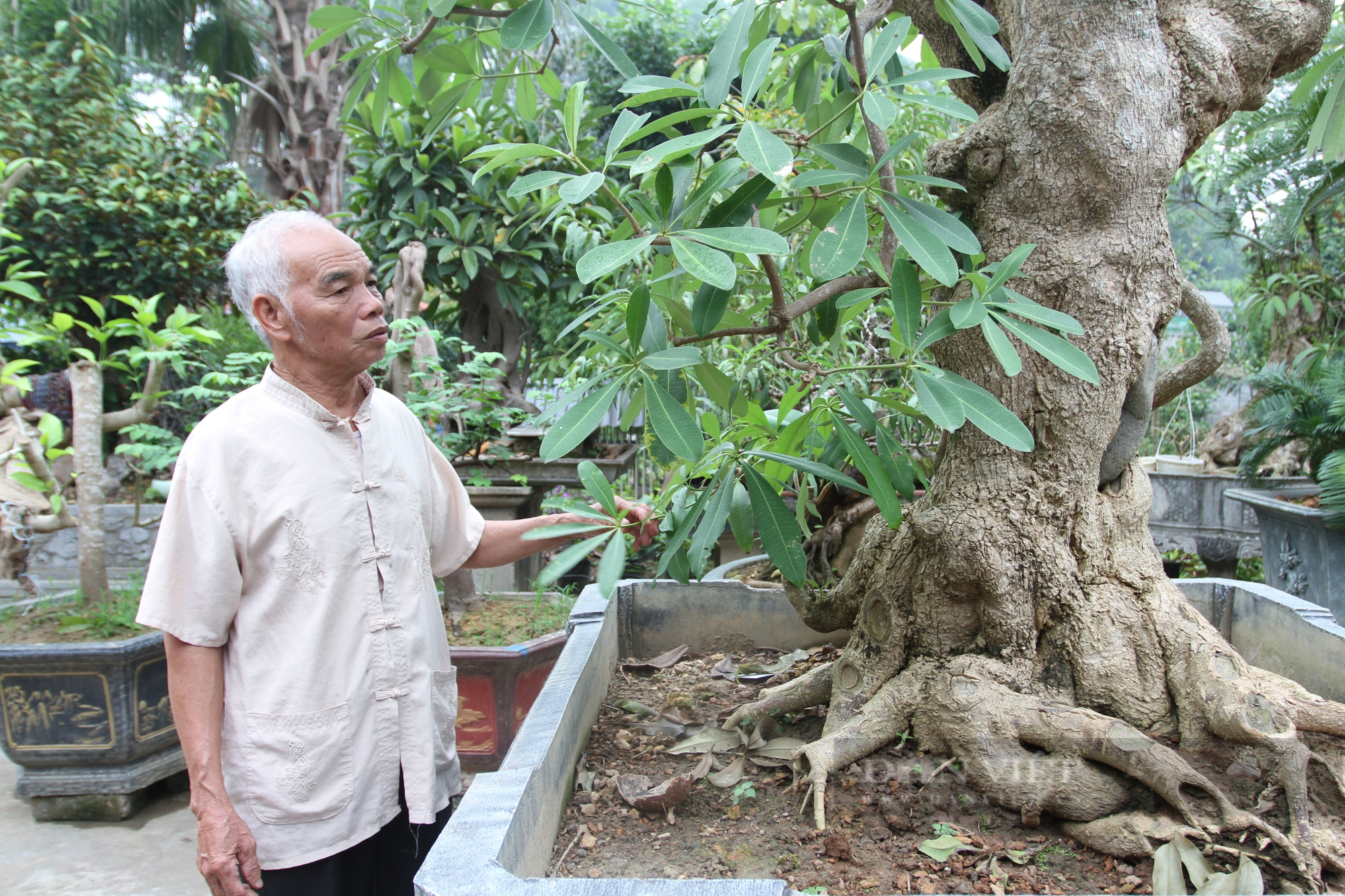 Thái Nguyên: Lão nông dành gần nửa đời người thổi hồn vào những kiệt tác nghệ thuật - Ảnh 7.