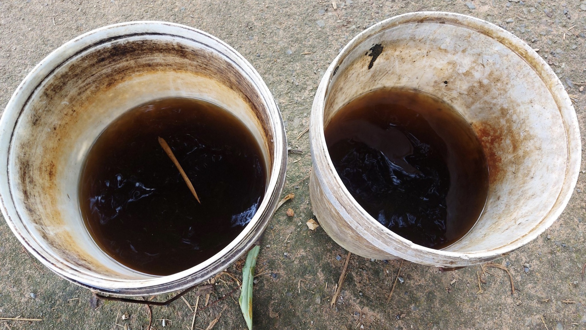 Bà Rịa - Vũng Tàu: Vỡ hồ chứa chất thải của công ty ven suối Giao Kèo - Ảnh 2.