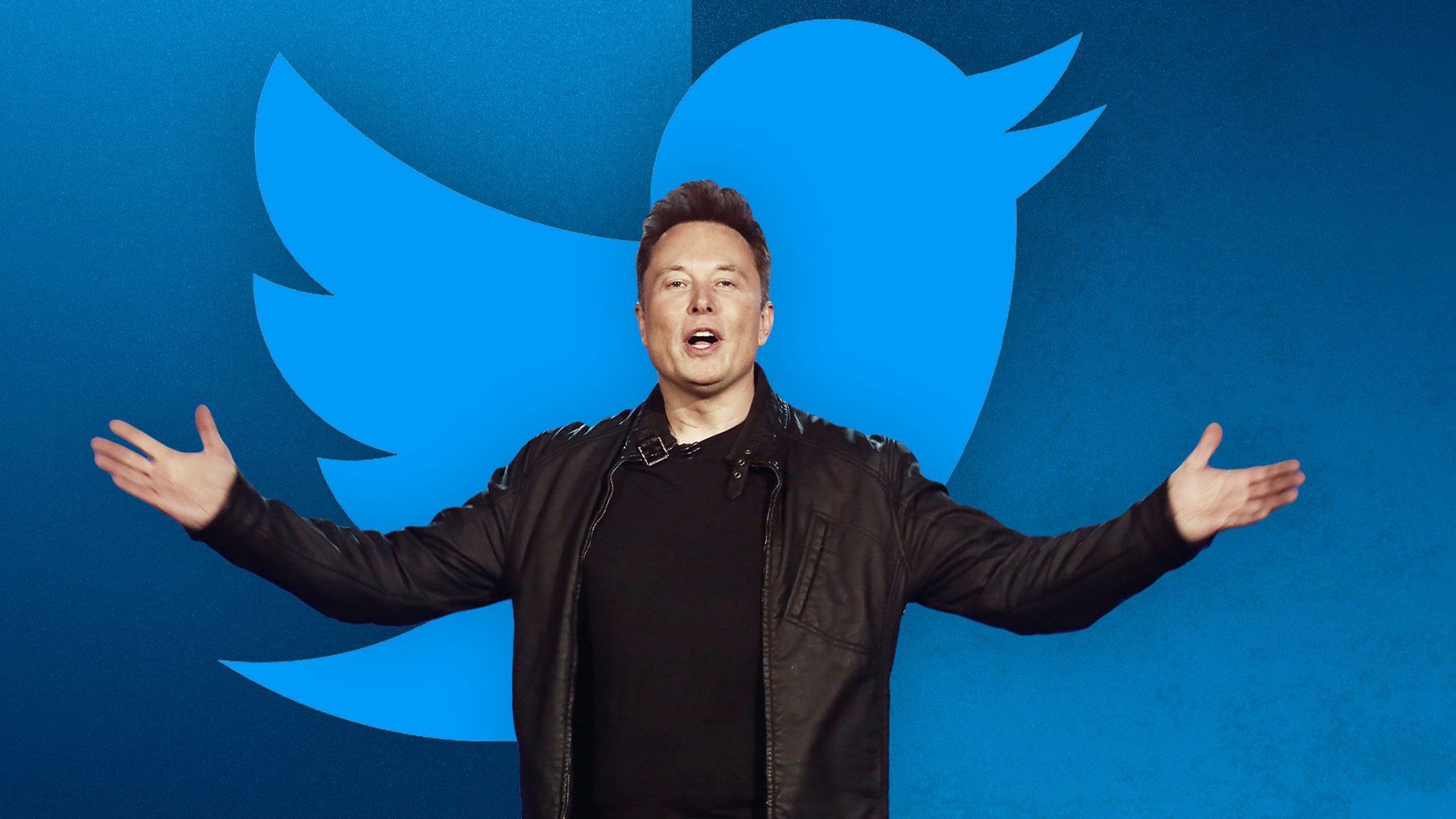 Elon Musk đang thành lập một hội đồng để tư vấn về việc dỡ bỏ bất kỳ lệnh cấm nào trên Twitter. Ảnh: @AFP.