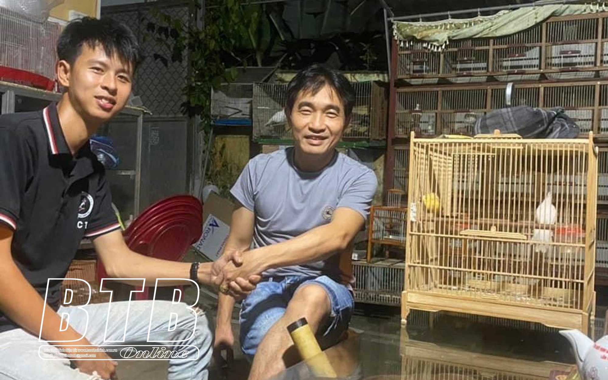 Tốt nghiệp trường y, rời Hà Nội về quê Thái Bình nuôi thứ chim chào mào đột biến, 9X thu tiền tỷ