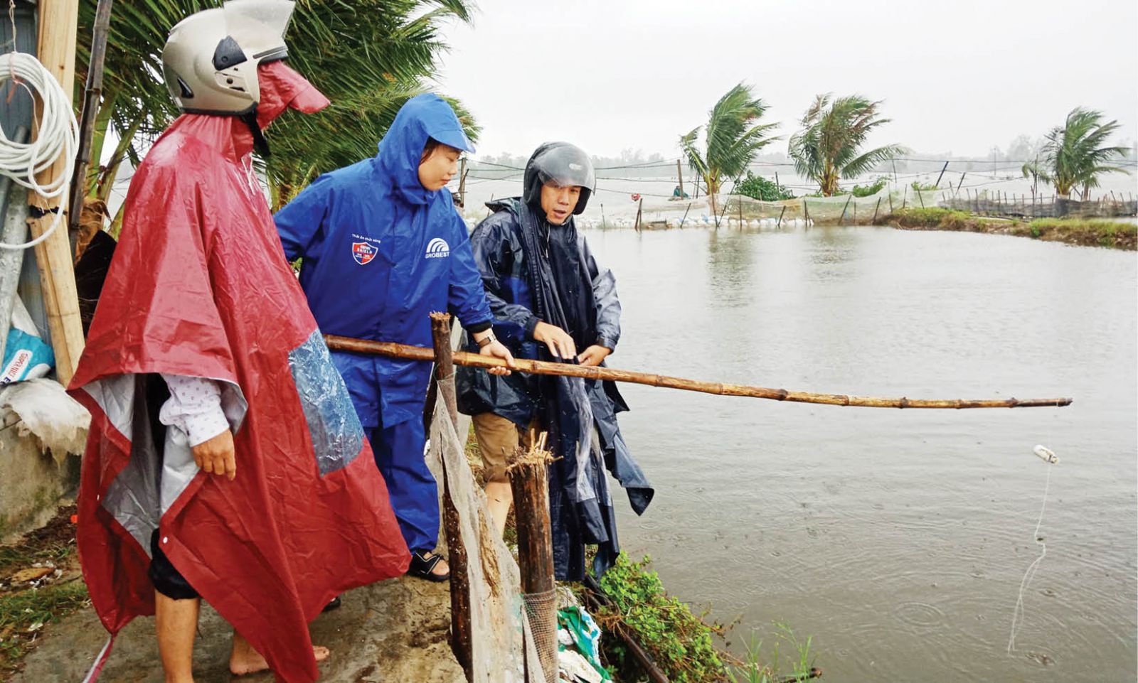 Đưa cá tôm “đi qua” những mùa vượt lũ an toàn ở Thừa Thiên Huế - Ảnh 1.
