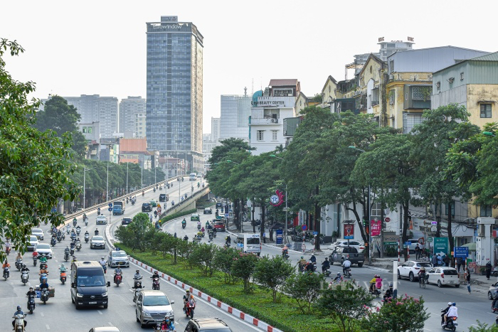 Đề xuất di dời 80 cây hoa sữa trên đường Nguyễn Chí Thanh: Người ủng hộ 2 tay, người tiếc nuối - Ảnh 1.