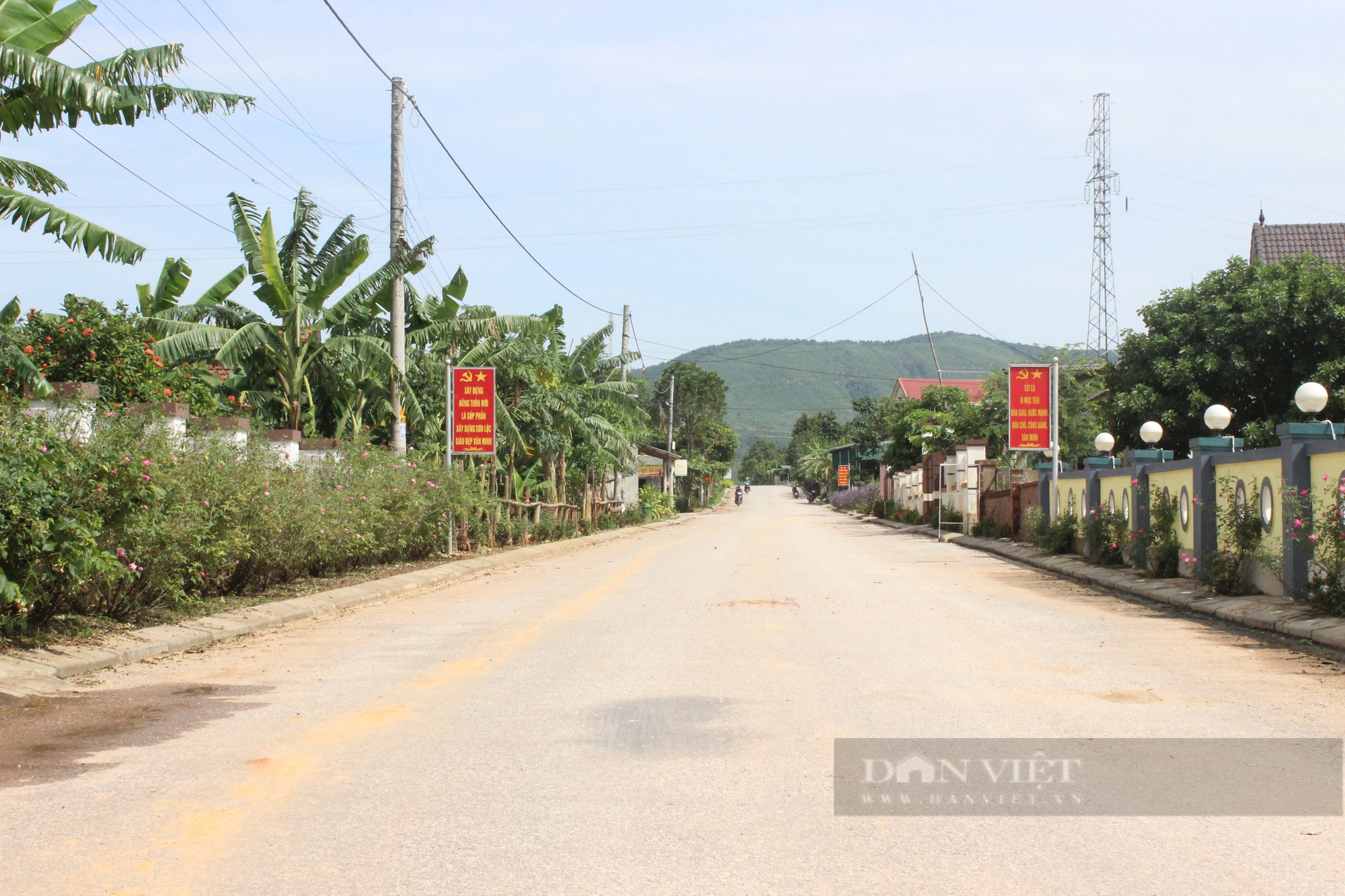 Quảng Bình: Người dân Sơn Lộc chuyển đổi cây trồng vật, vật nuôi, đồng lòng về đích Nông thôn mới - Ảnh 5.