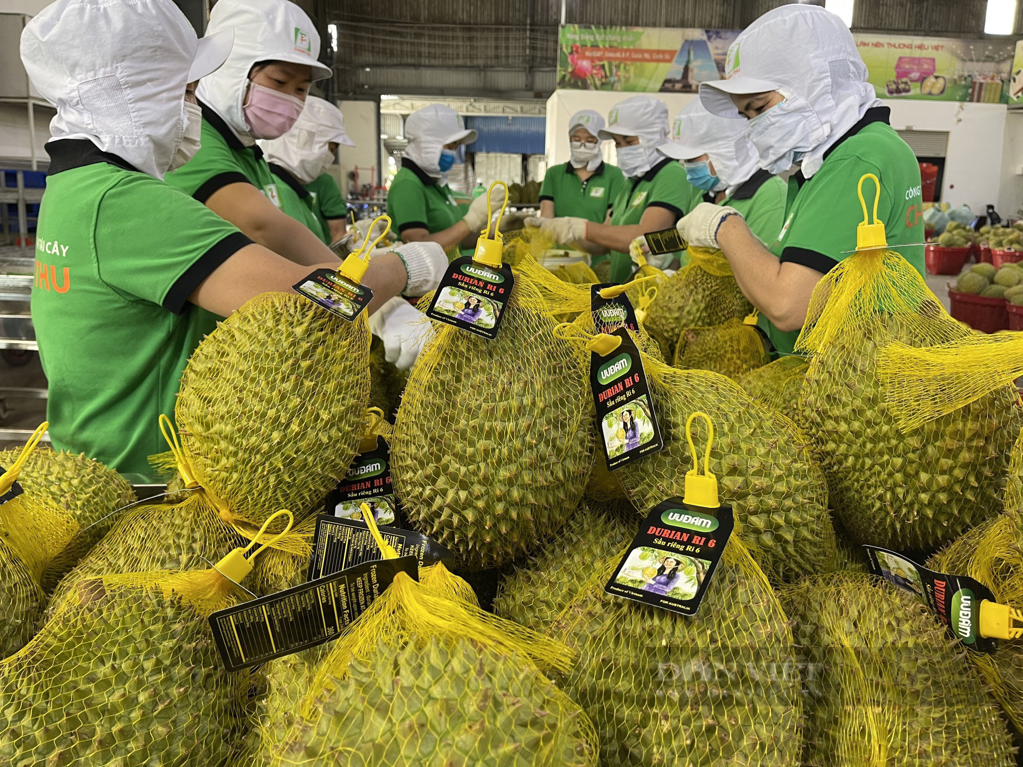 Trung Quốc thích mua nhiều loại trái cây Việt Nam, doanh nghiệp làm gì để nắm bắt cơ hội? - Ảnh 1.