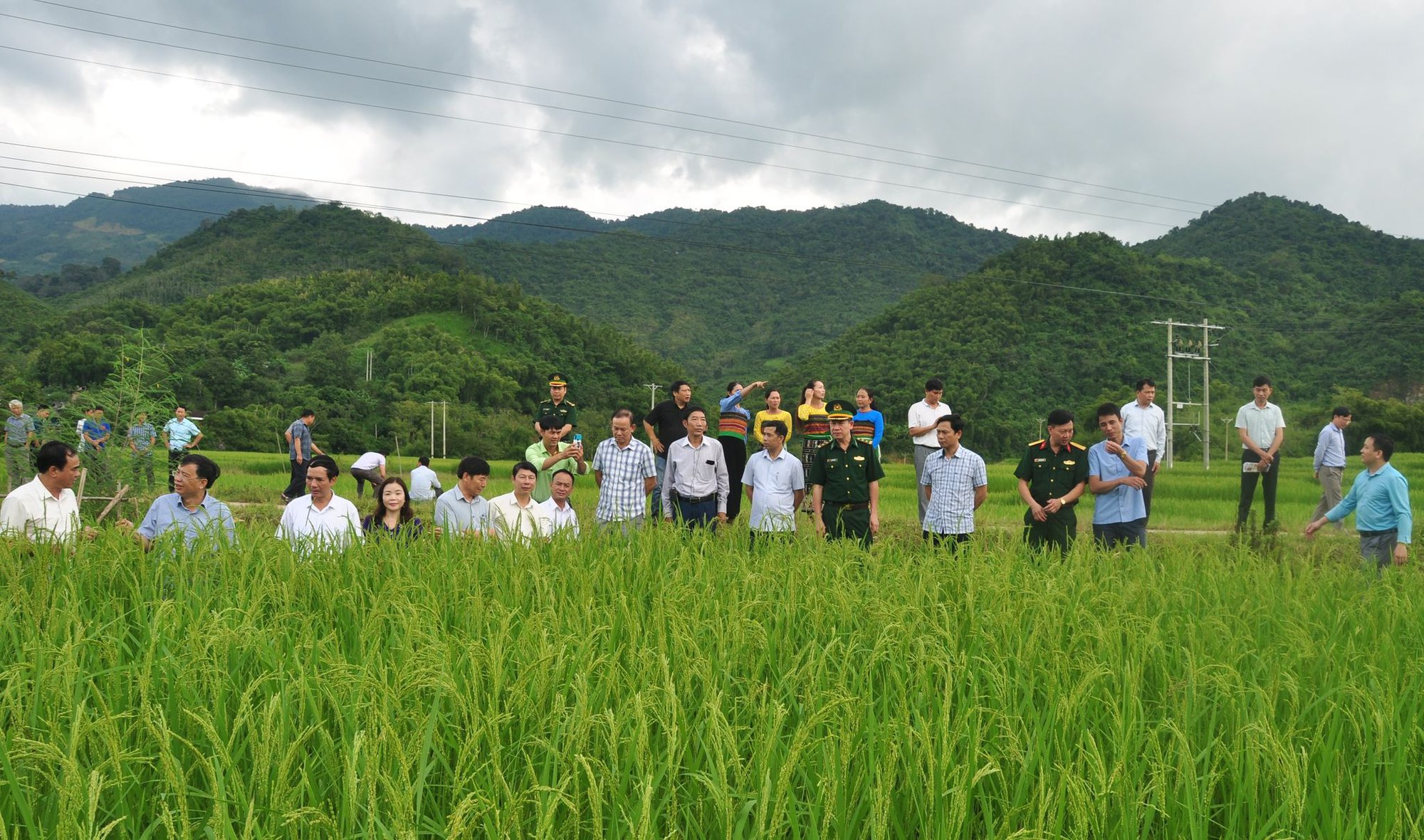 Sản phẩm OCOP đầu tiên của huyện nghèo nhất Thanh Hoá đạt 42 triệu đồng/vụ - Ảnh 4.