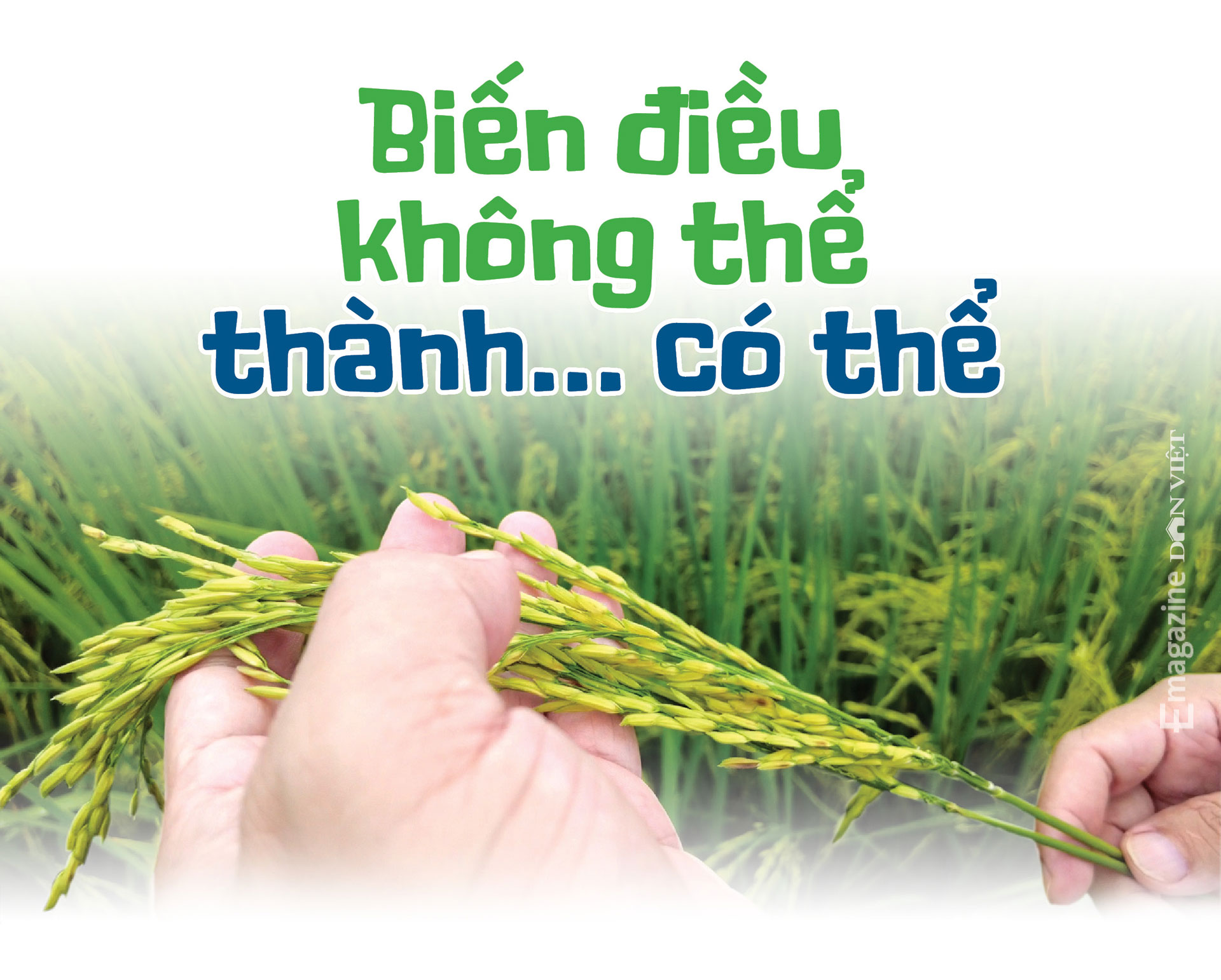 Chủ tịch UBND huyện Krông Nô, Đắk Nông: &quot;Đội đá, vá trời&quot;đưa gạo ngon nhất thế giới về cao nguyên M'nông - Ảnh 1.