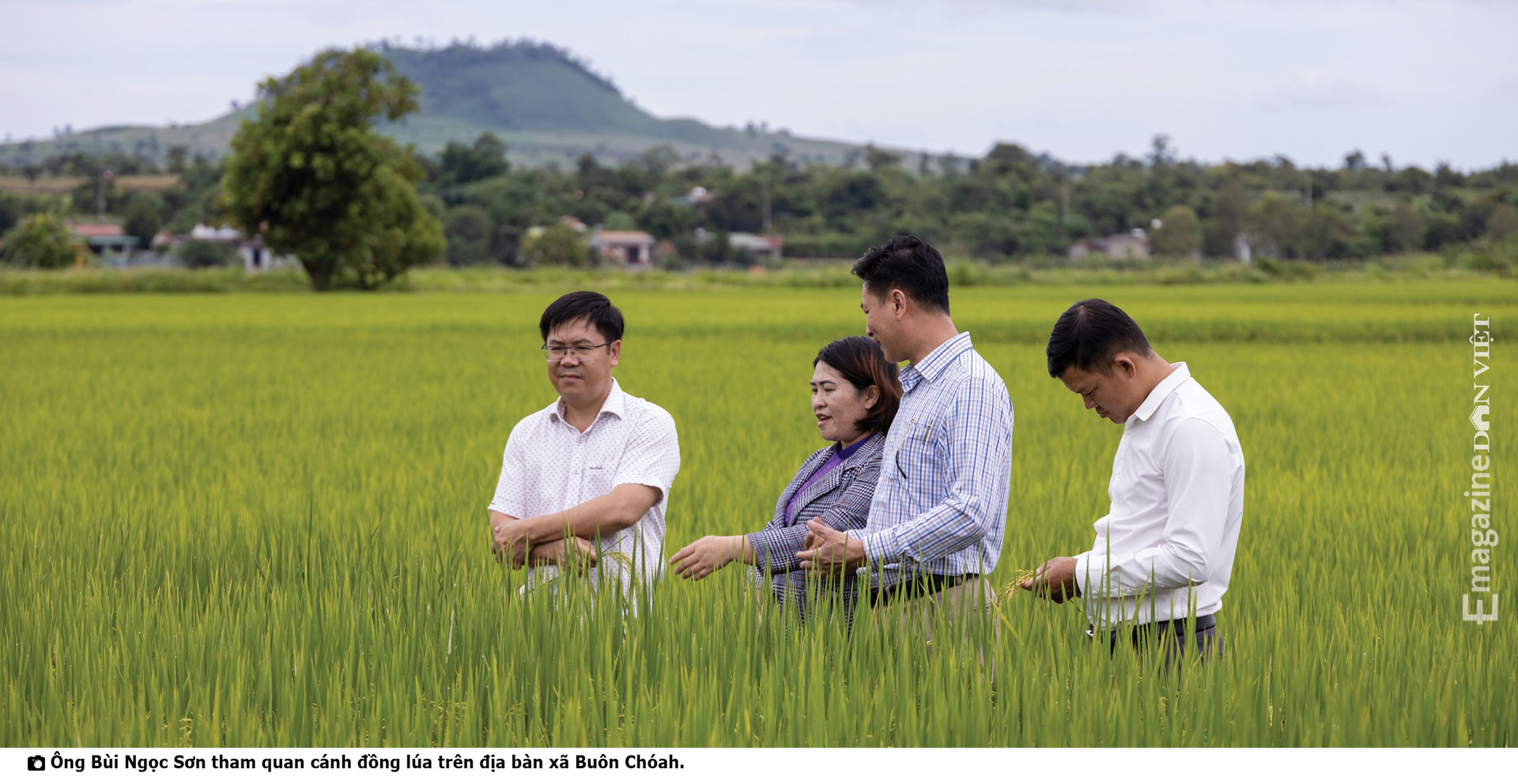 Chủ tịch UBND huyện Krông Nô, Đắk Nông: &quot;Đội đá, vá trời&quot;đưa gạo ngon nhất thế giới về cao nguyên M'nông - Ảnh 6.