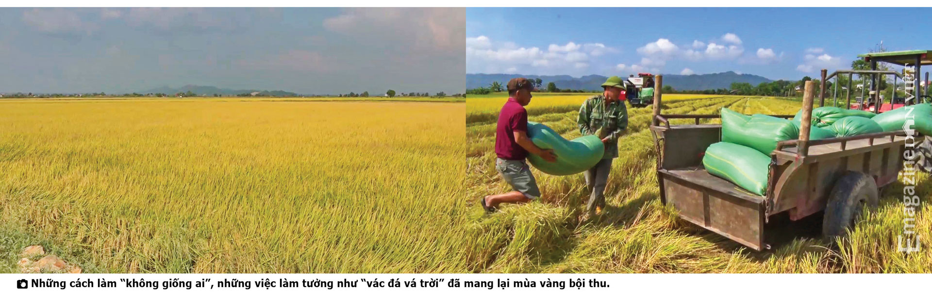 Chủ tịch UBND huyện Krông Nô, Đắk Nông: &quot;Đội đá, vá trời&quot;đưa gạo ngon nhất thế giới về cao nguyên M'nông - Ảnh 7.