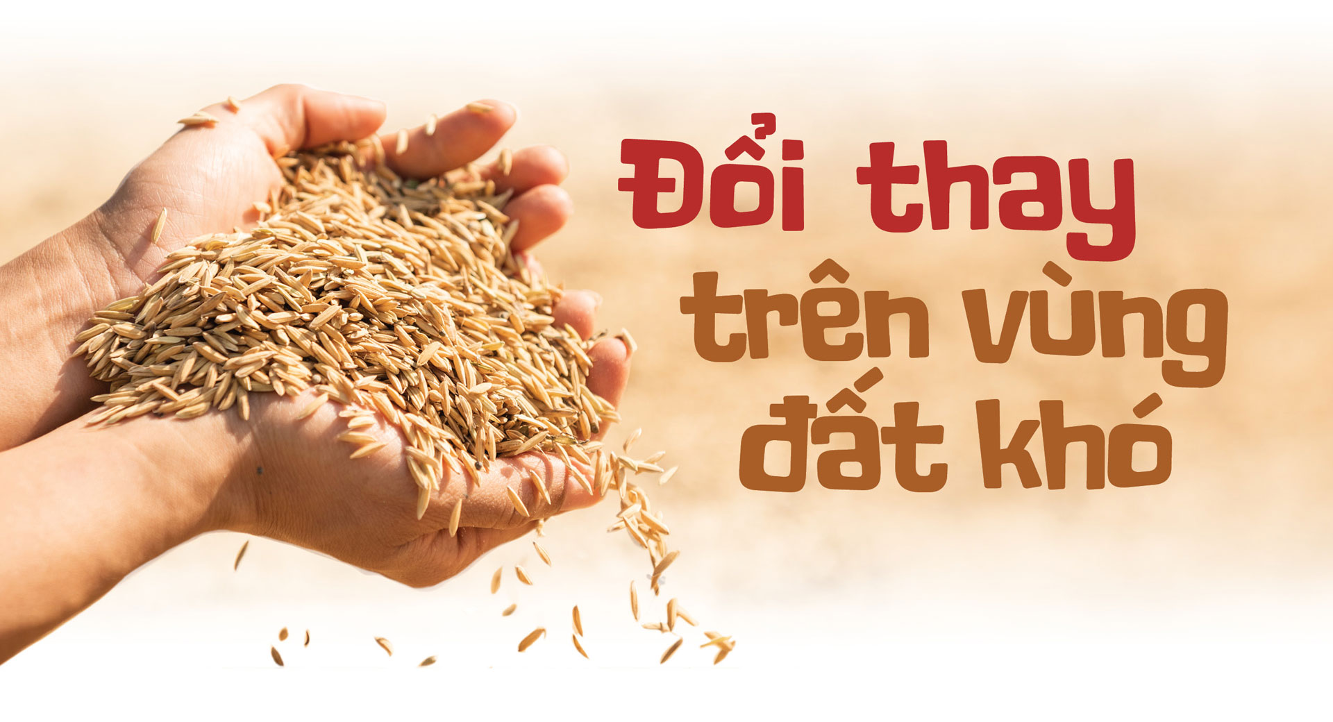 Chủ tịch UBND huyện Krông Nô, Đắk Nông: &quot;Đội đá, vá trời&quot;đưa gạo ngon nhất thế giới về cao nguyên M'nông - Ảnh 8.