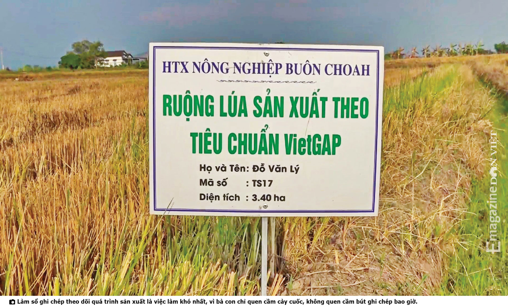 Chủ tịch UBND huyện Krông Nô, Đắk Nông: &quot;Đội đá, vá trời&quot;đưa gạo ngon nhất thế giới về cao nguyên M'nông - Ảnh 10.