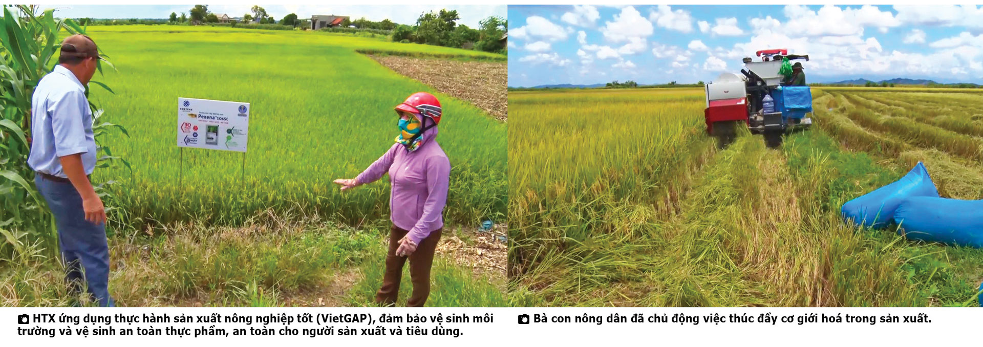 Chủ tịch UBND huyện Krông Nô, Đắk Nông: &quot;Đội đá, vá trời&quot;đưa gạo ngon nhất thế giới về cao nguyên M'nông - Ảnh 11.