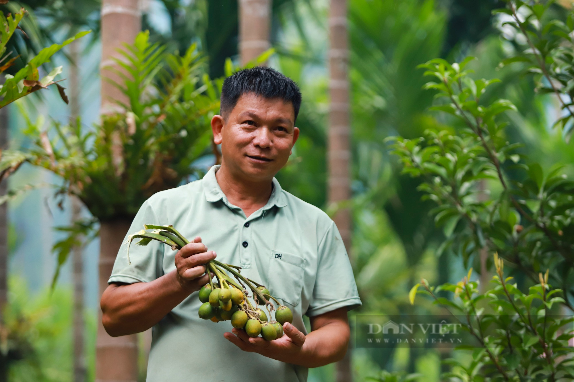 Trồng loại cây thẳng tắp, có buồng xum xuê, anh nông dân người Mường có tiền tỷ mỗi năm - Ảnh 1.