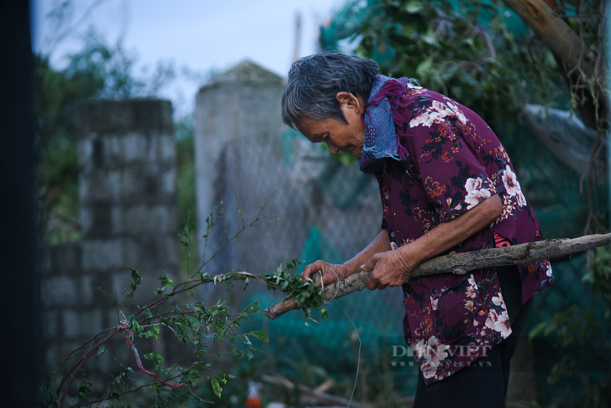 Bà cụ 82 tuổi mong ước dựng lại căn nhà sau bão Noru để có nơi thờ con trai - Ảnh 4.