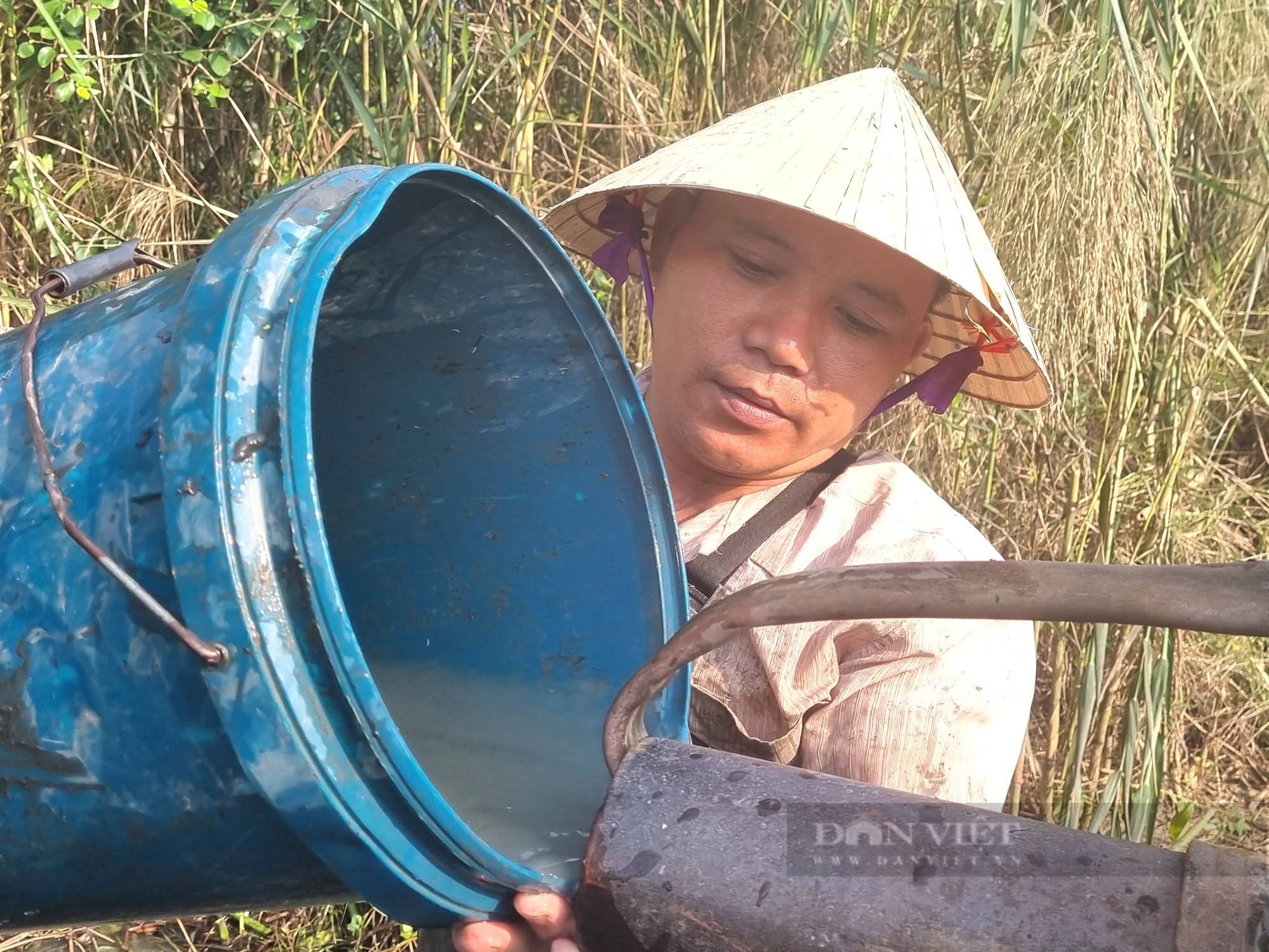 Bất ngờ hút cạn một khúc mương bắt toàn cá lóc, rô đồng “khủng” - Ảnh 2.