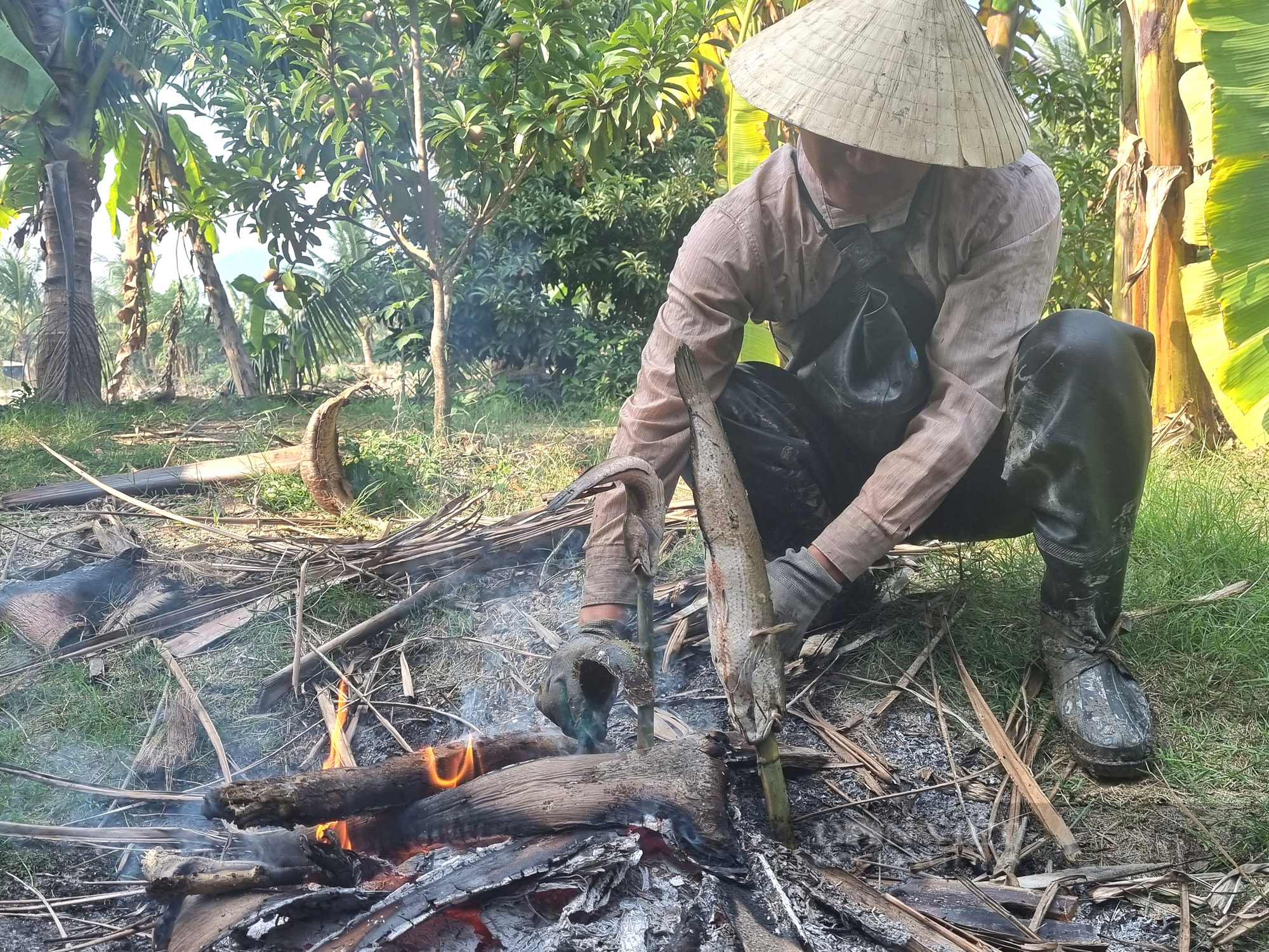 Bất ngờ hút cạn một khúc mương bắt toàn cá lóc, rô đồng “khủng” - Ảnh 10.