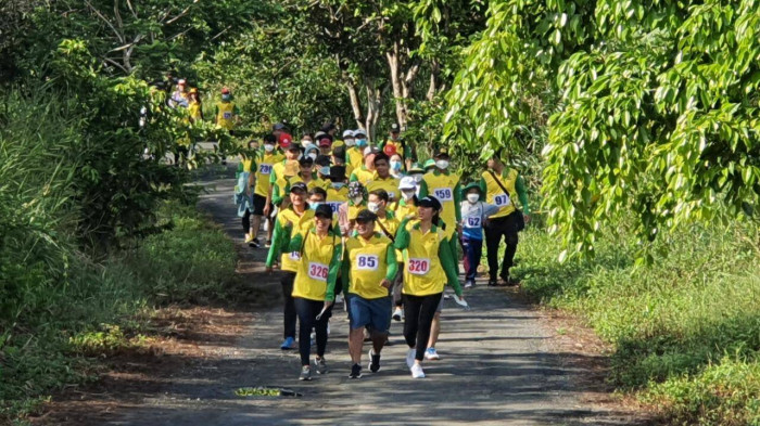 Nghe loài chim chào mào hót khi làm khách đi bộ qua rừng U Minh Hạ ở Cà Mau - Ảnh 4.