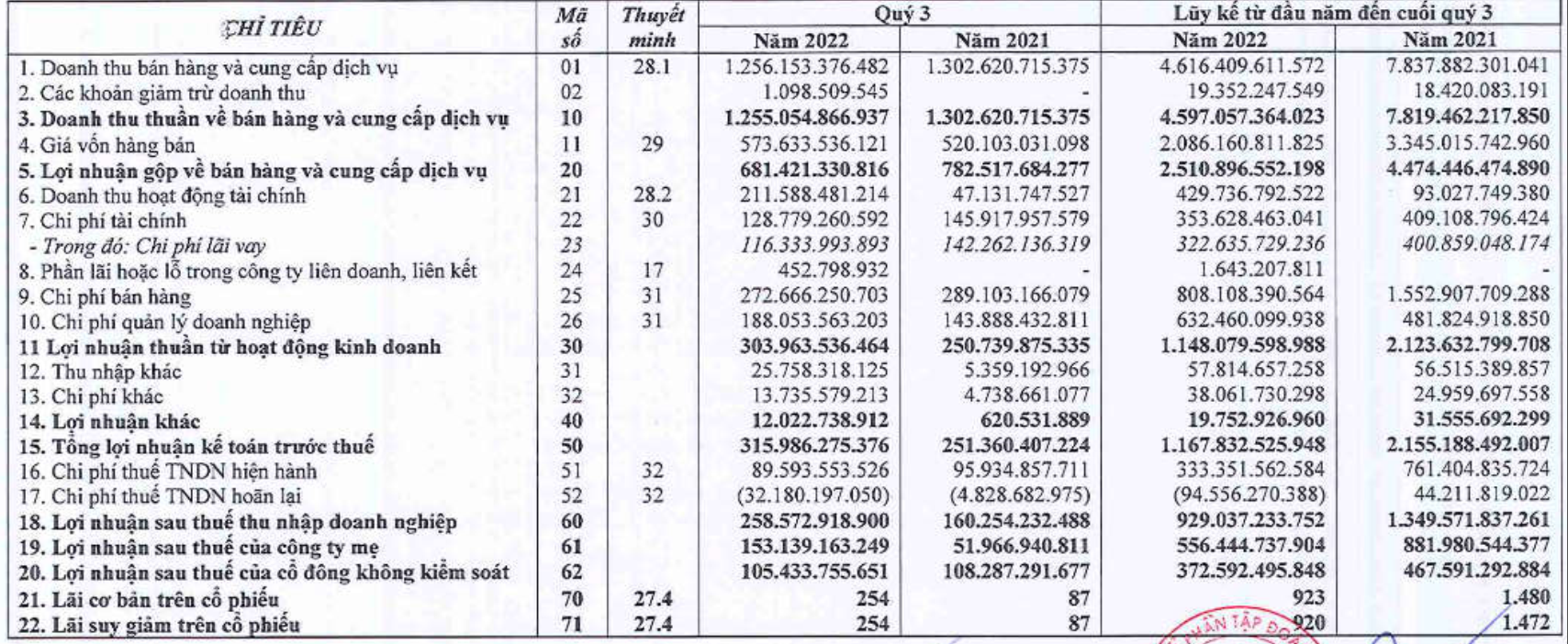 Lãi ròng 9 tháng của Tập đoàn Đất Xanh (DXG) giảm 37% xuống 556,4 tỷ đồng - Ảnh 1.