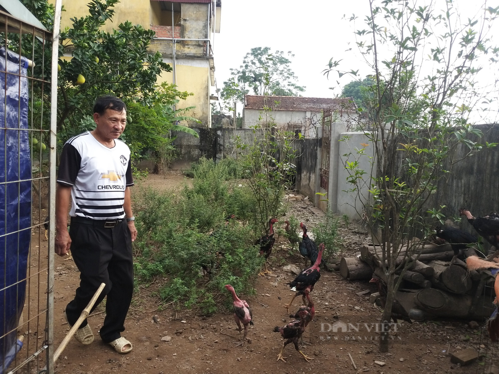 Những giáo dân tiên phong sống tốt đời, đẹp đạo ở Thanh Oai: Phá nhà, bếp... làm đường nông thôn mới (Bài 2) - Ảnh 2.