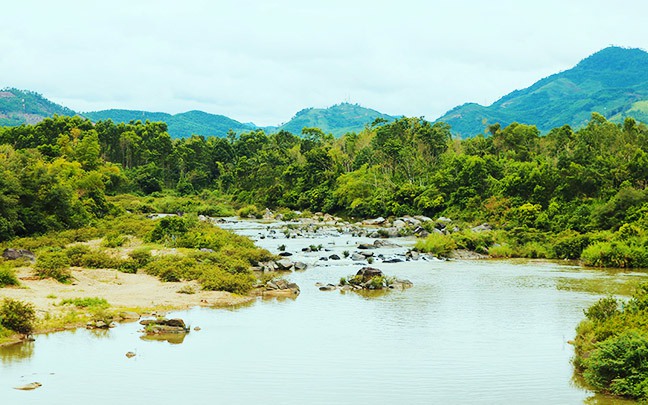 Đây là con sông chảy ngược lên rừng ở huyện Tiên Phước của Quảng Nam