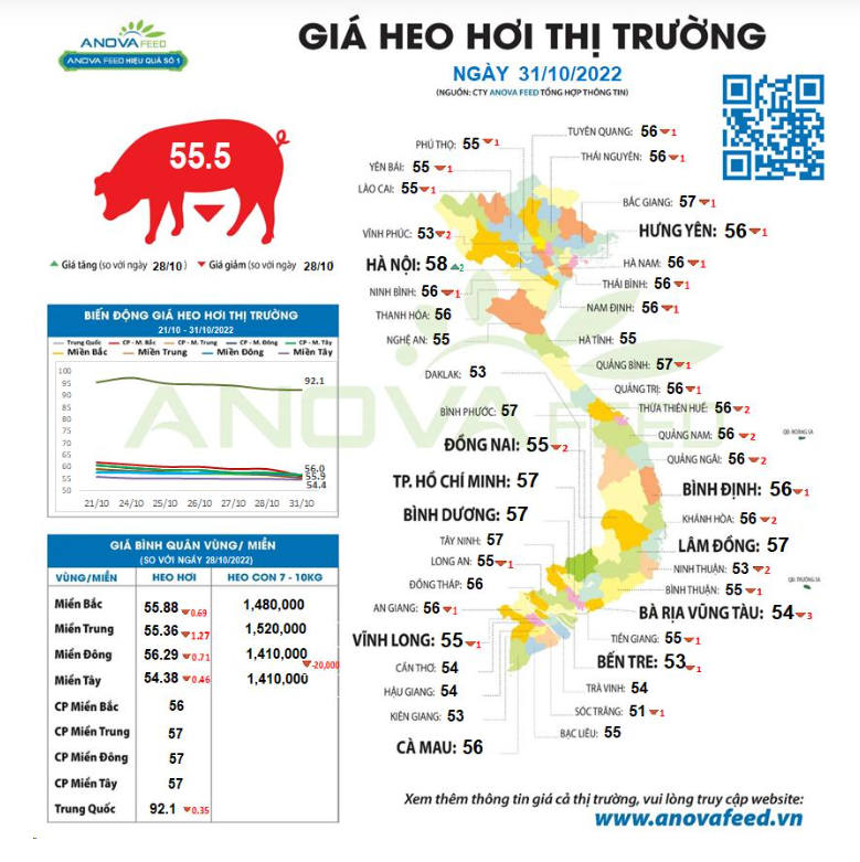 Giá lợn hơi &quot;lao dốc không phanh&quot;, thị trường giảm sâu chưa có hồi kết - Ảnh 1.