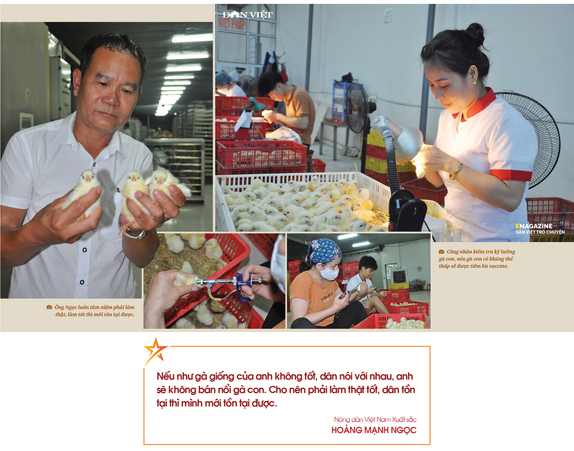 Nông dân Việt Nam xuất sắc Hoàng Mạnh Ngọc: Từ sa mạc Libya đến trại gà hàng chục tỷ đồng - Ảnh 7.