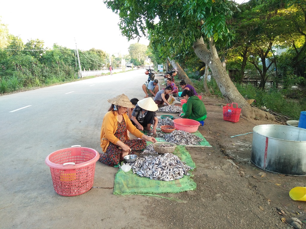 Đậm đà hương mắm cá linh - Ảnh 1.