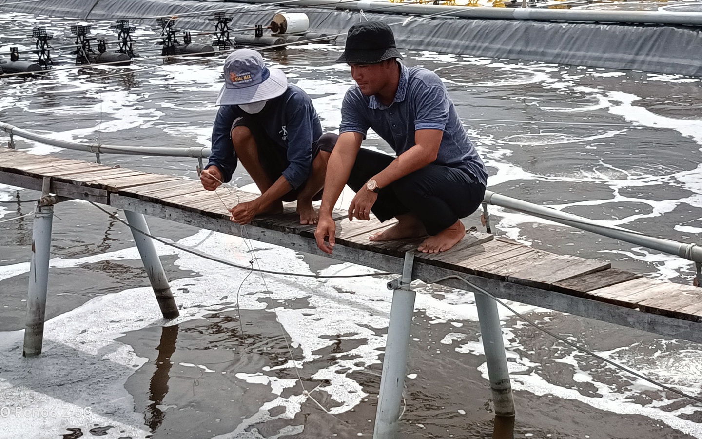 "Đánh liều" nuôi tôm công nghệ cao trên đất nhiễm mặn, nhóm trai trẻ Bà Rịa-Vũng Tàu thắng lớn