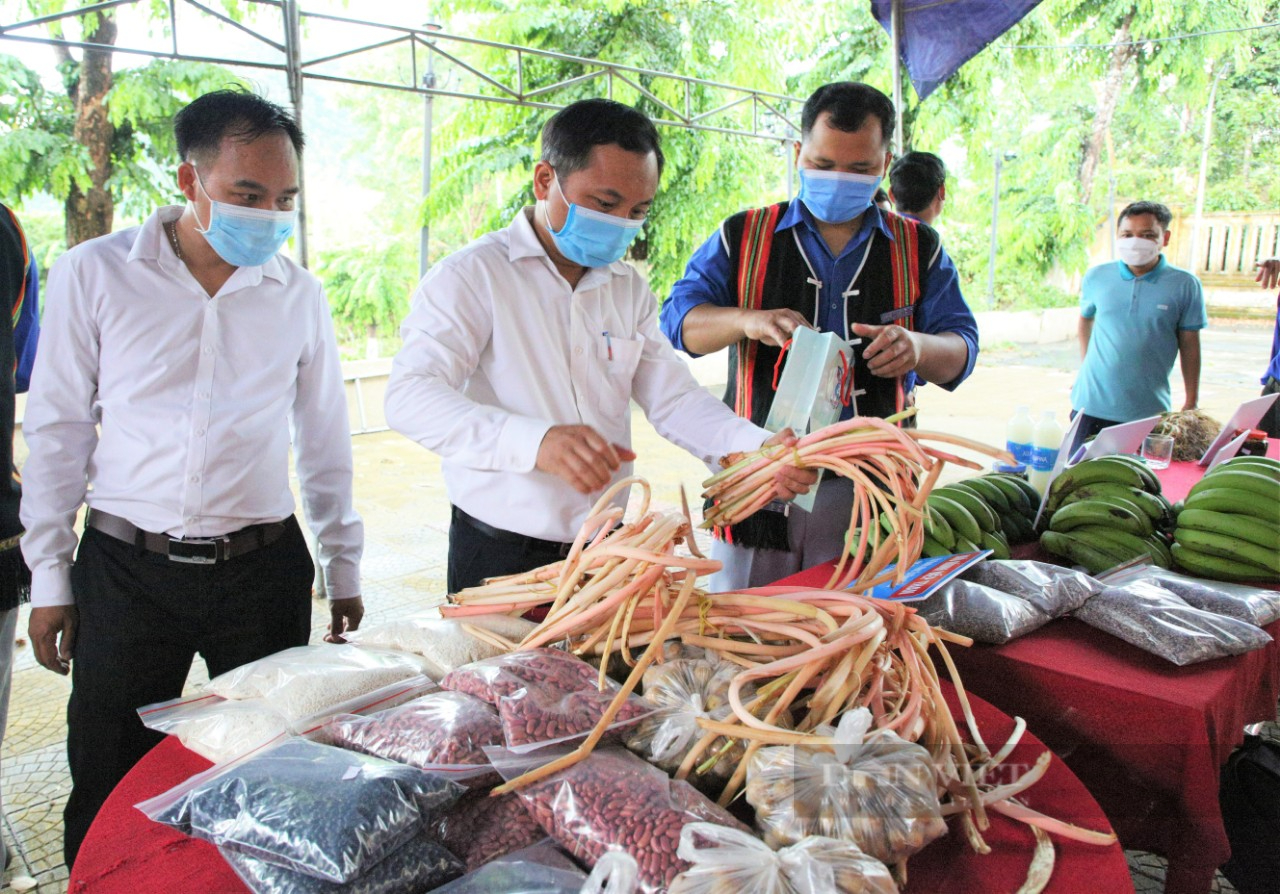 Quảng Nam: Giảm nghèo gắn với xây dựng nông thôn mới, bước đi đột phá của Nam Giang - Ảnh 6.