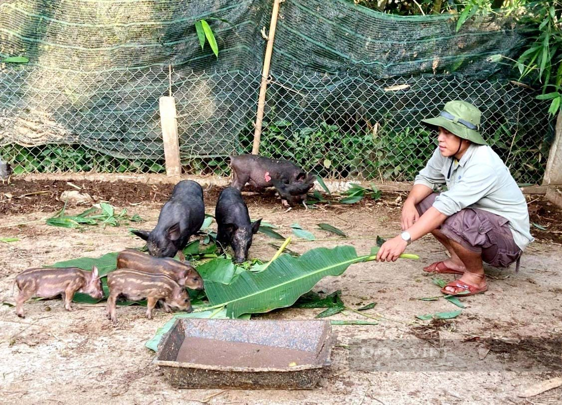 Quảng Nam: Giảm nghèo gắn với xây dựng nông thôn mới, bước đi đột phá của Nam Giang - Ảnh 4.