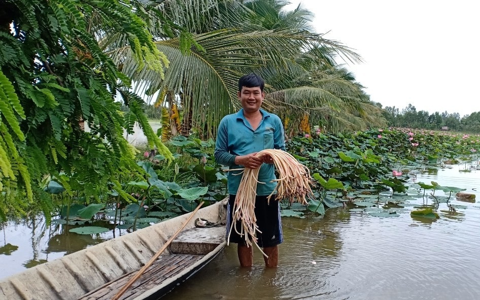 Phát triển sản xuất với các mô hình hiệu quả, nông thôn mới ở Long Trị của Hậu Giang ngày càng trù phú